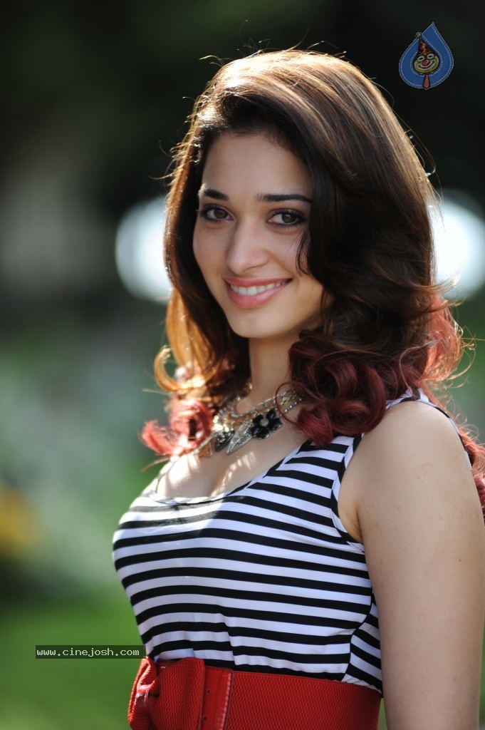 Tamanna New Gallery - 22 / 73 photos