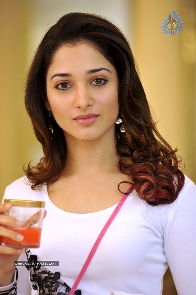 Tamanna Hot Photo Gallery - 65 / 82 photos