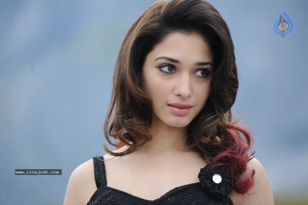 Tamanna Hot Photos - 8 / 151 photos