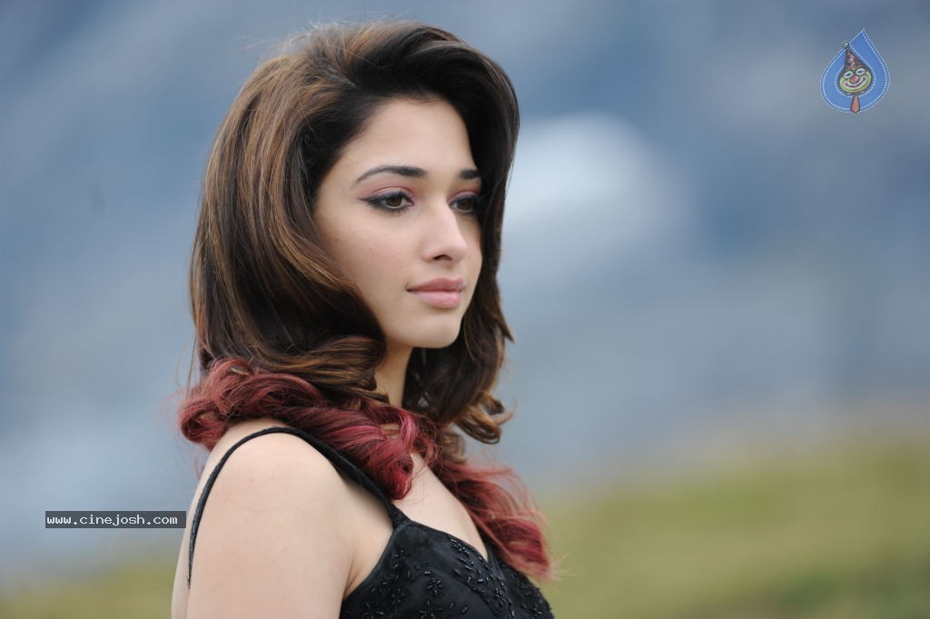 Tamanna Hot Photos - 13 / 151 photos