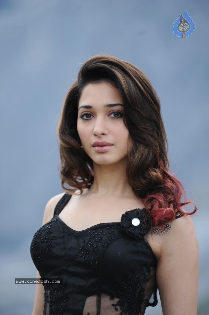 Tamanna Hot Photos - 22 / 151 photos