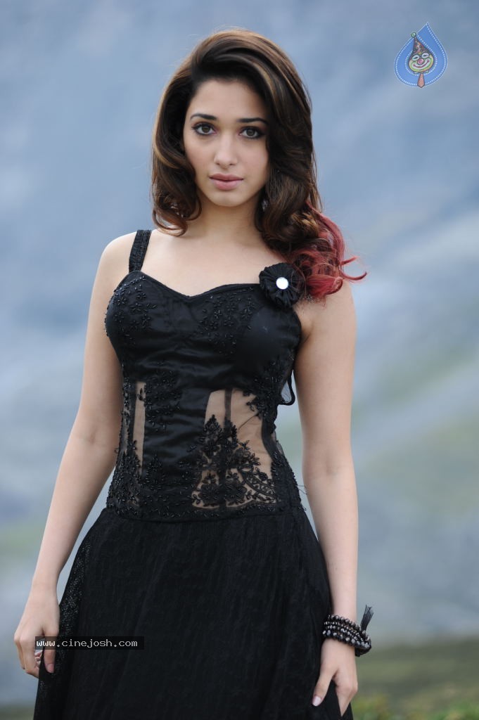 Tamanna Hot Photos - 25 / 151 photos