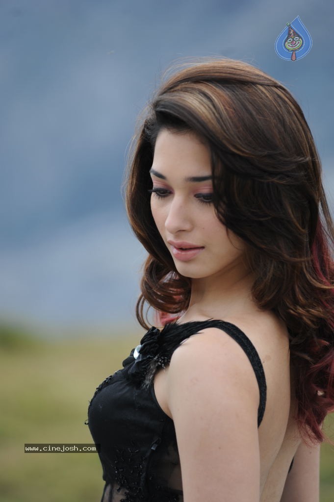 Tamanna Hot Photos - 81 / 151 photos