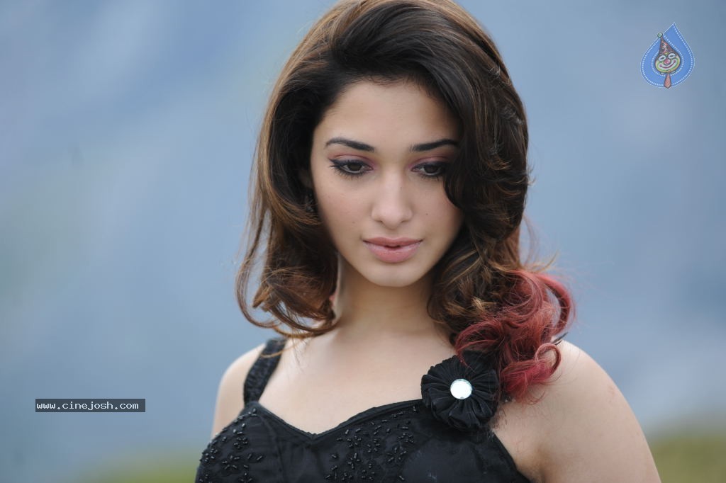 Tamanna Hot Photos - 97 / 151 photos