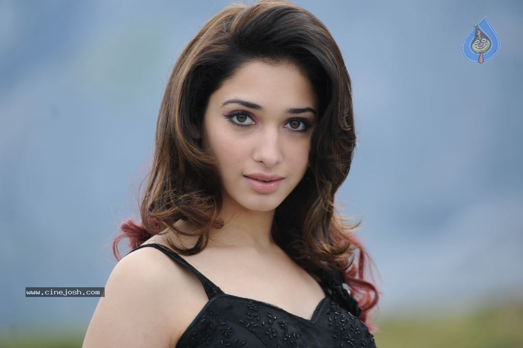 Tamanna Hot Photos - 132 / 151 photos