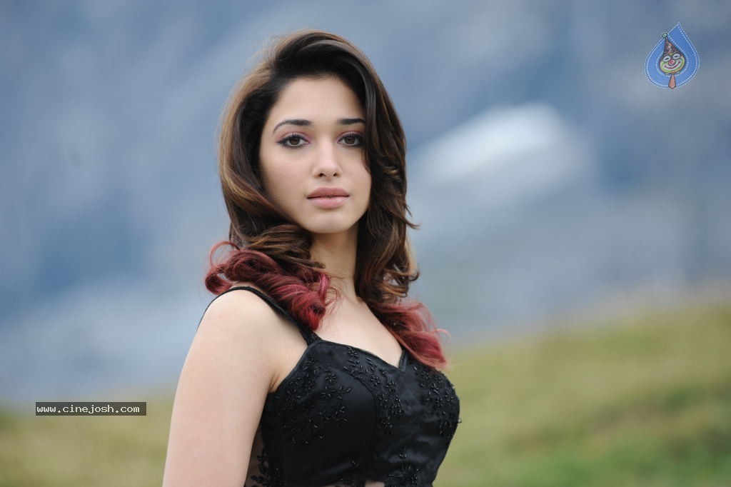 Tamanna Hot Photos - 139 / 151 photos