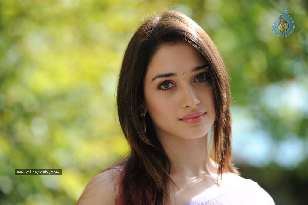 Tamanna Hot Photos - 45 / 70 photos