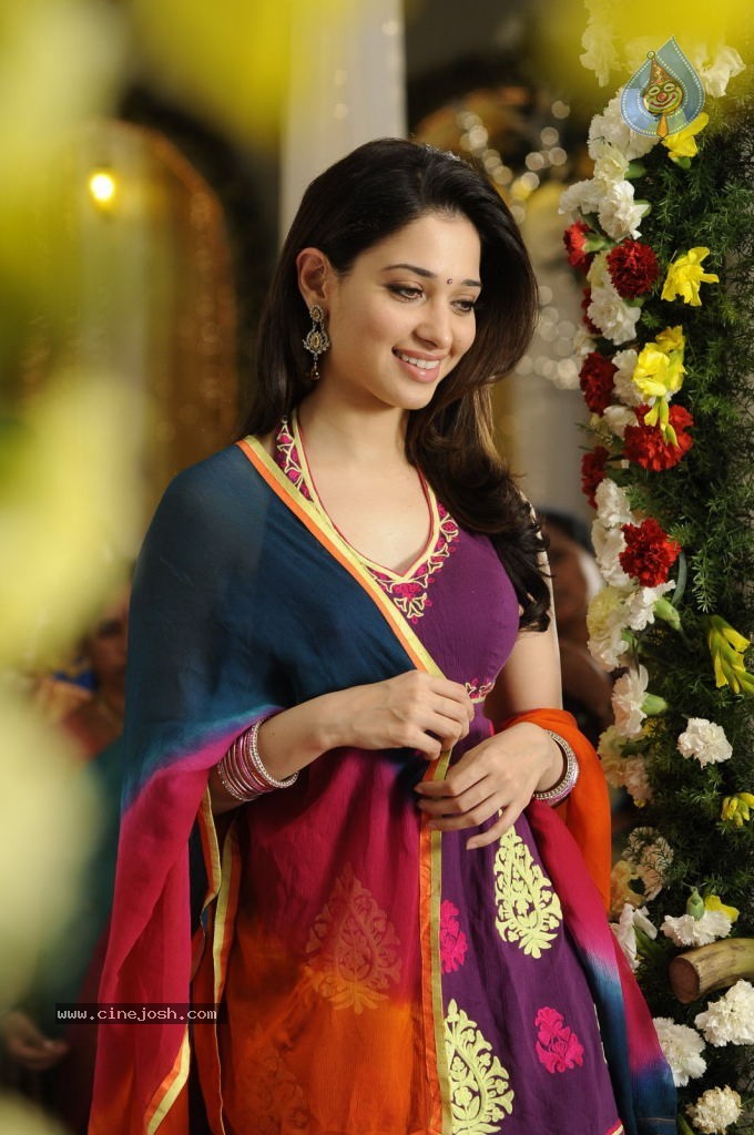 Tamanna Hot Stills - 17 / 41 photos
