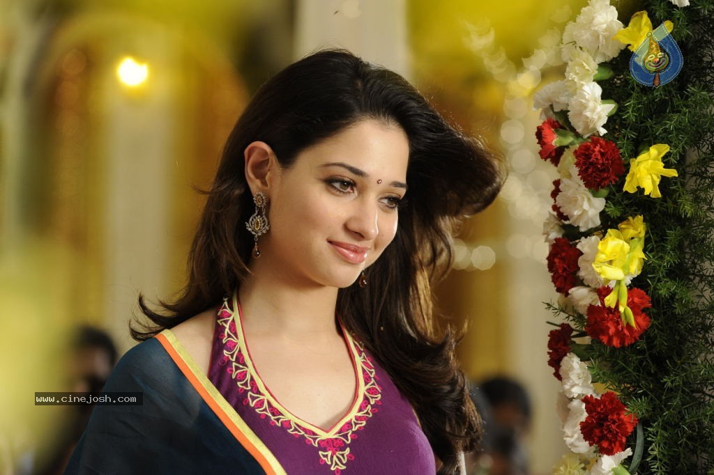 Tamanna Hot Stills - 29 / 41 photos