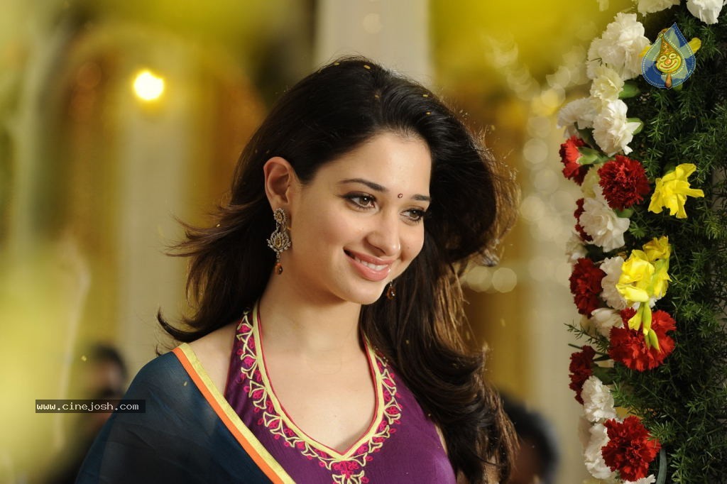 Tamanna Hot Stills - 38 / 41 photos