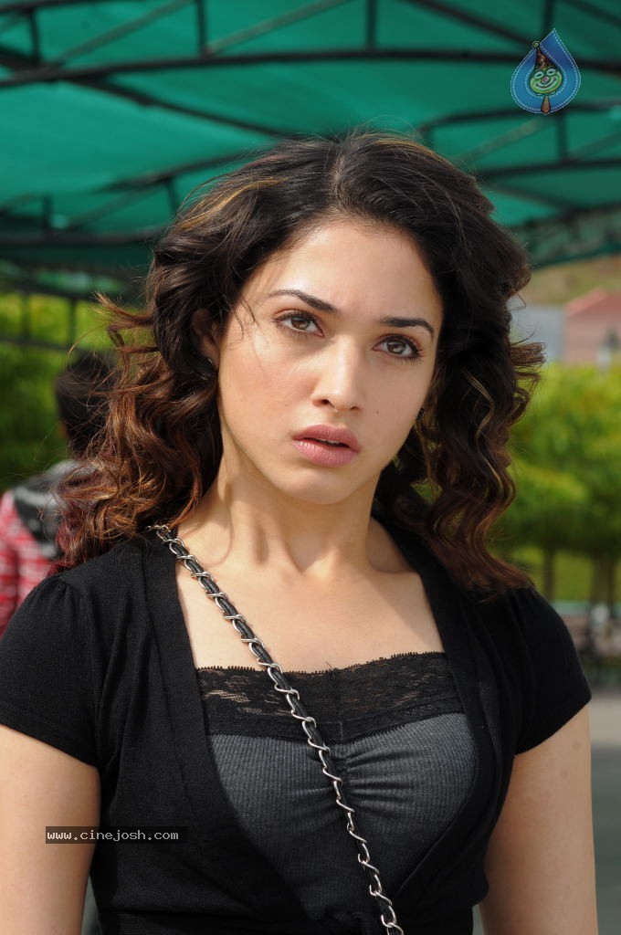 Tamanna New Gallery - 14 / 67 photos