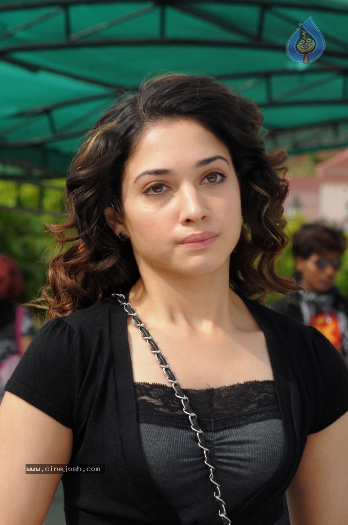 Tamanna New Gallery - 31 / 67 photos