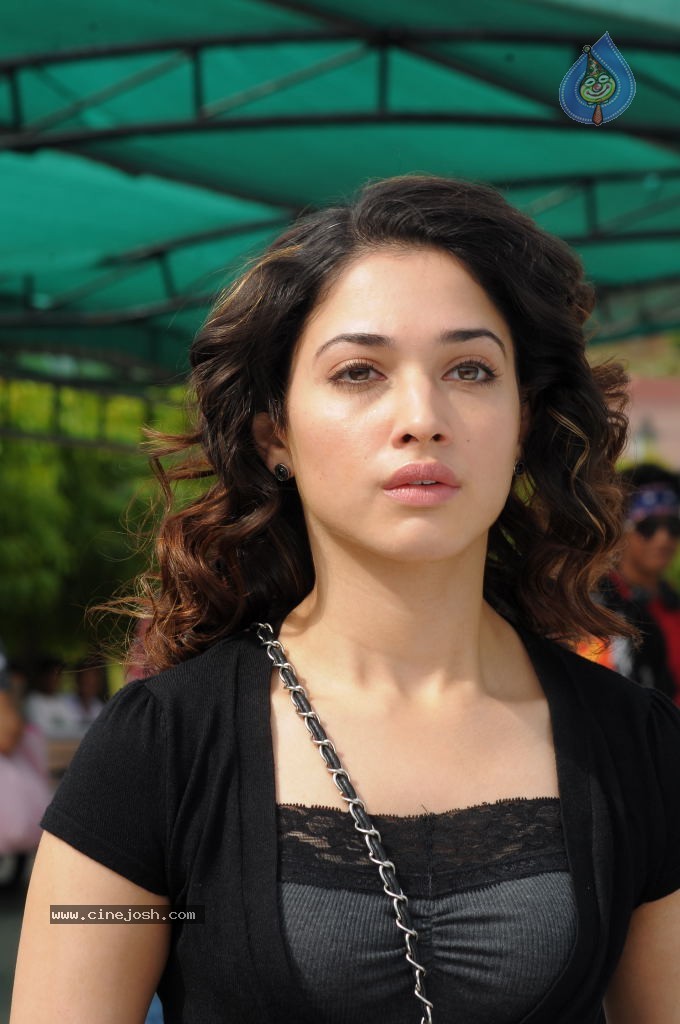 Tamanna New Gallery - 56 / 67 photos