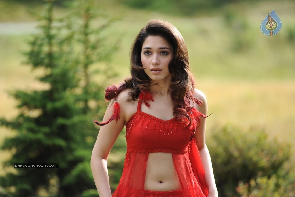 Tamanna New Photos - 11 / 69 photos