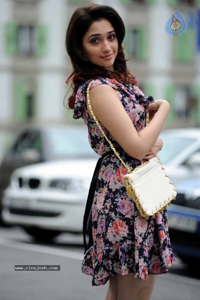 Tamanna New Photos - 24 / 34 photos