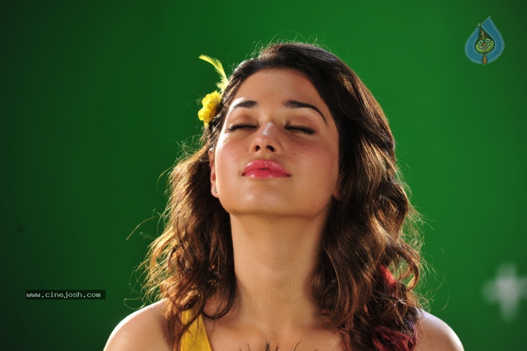 Tamanna New Spicy Photos - 65 / 89 photos