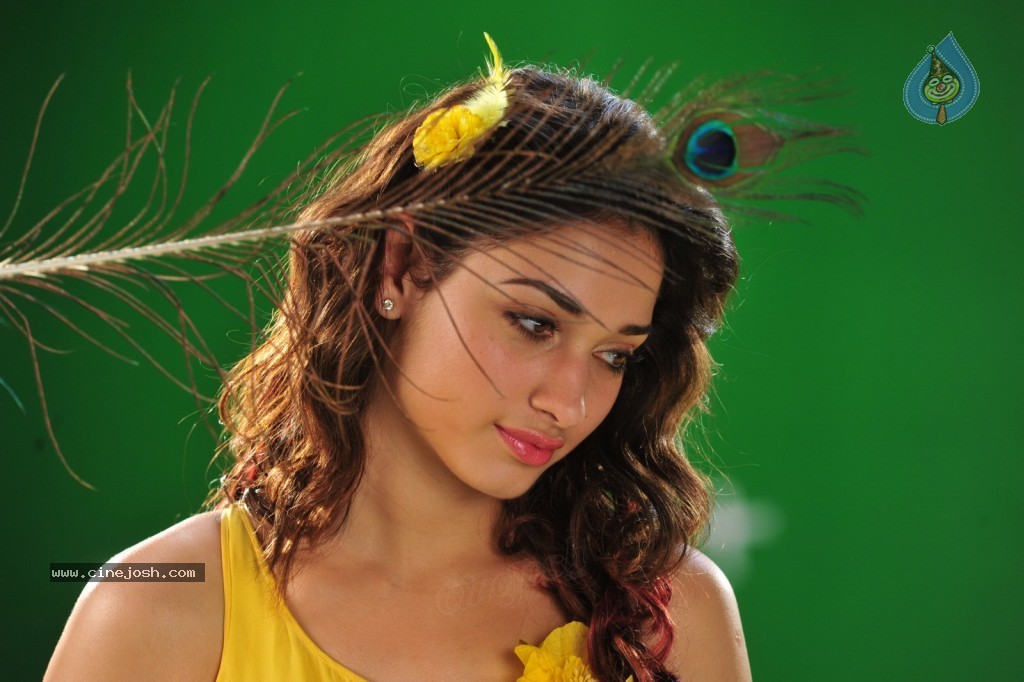 Tamanna New Spicy Photos - 84 / 89 photos