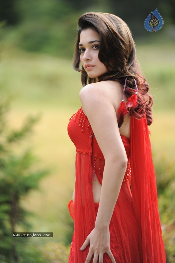 Tamanna Spicy Stills - 4 / 102 photos