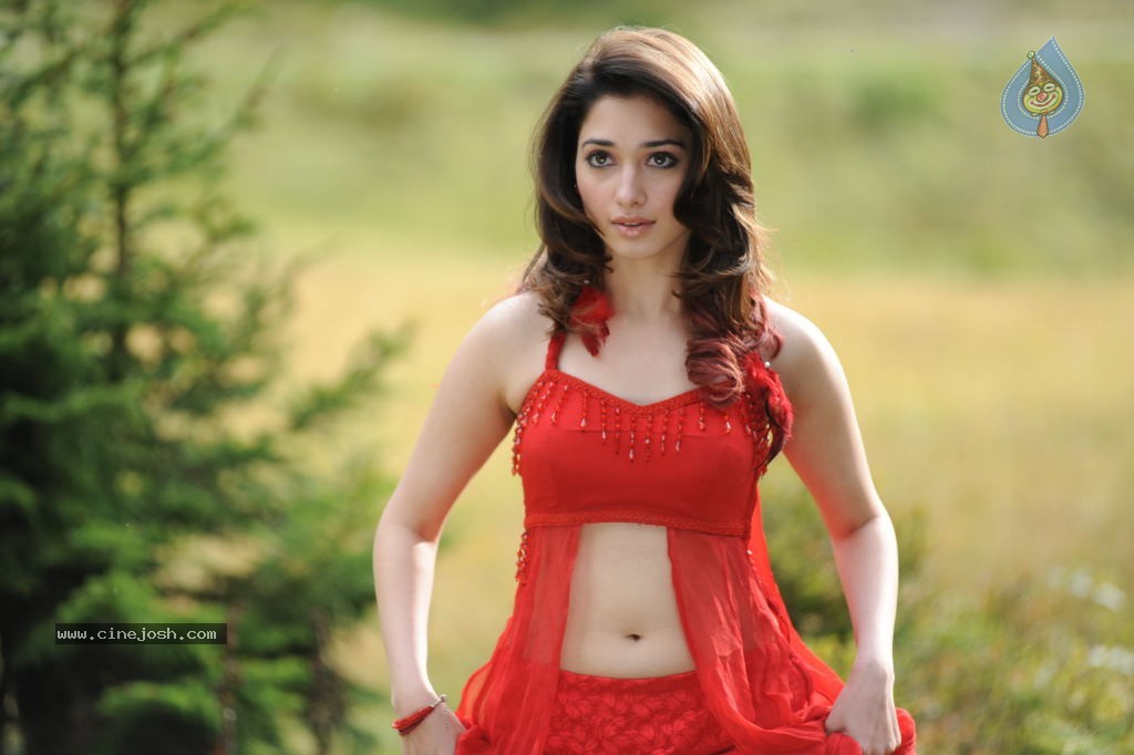 Tamanna Spicy Stills - 24 / 102 photos