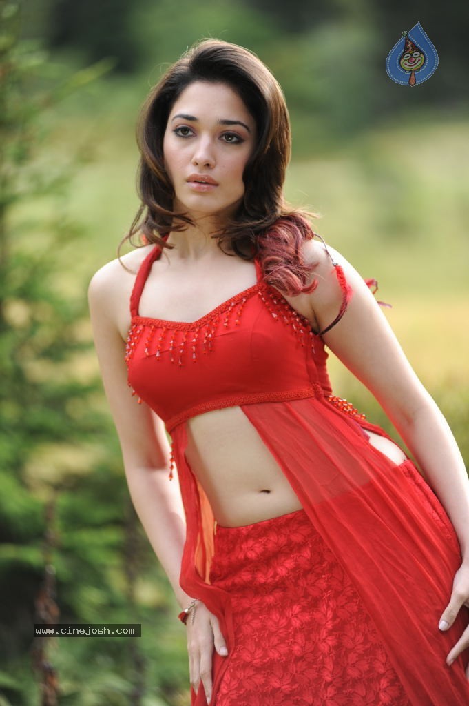 Tamanna Spicy Stills - 32 / 102 photos