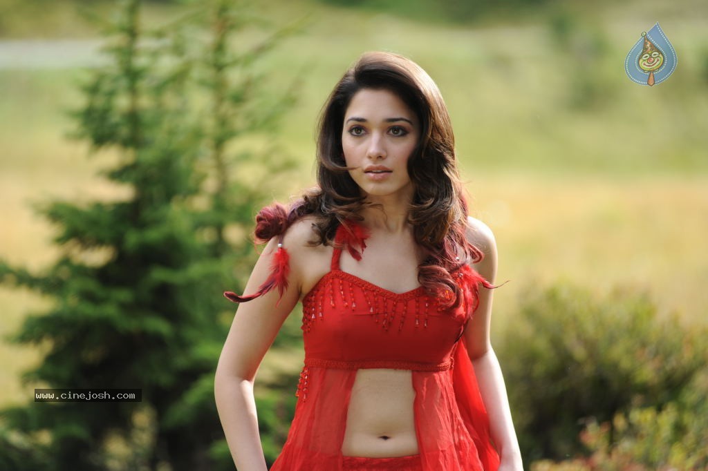 Tamanna Spicy Stills - 40 / 102 photos