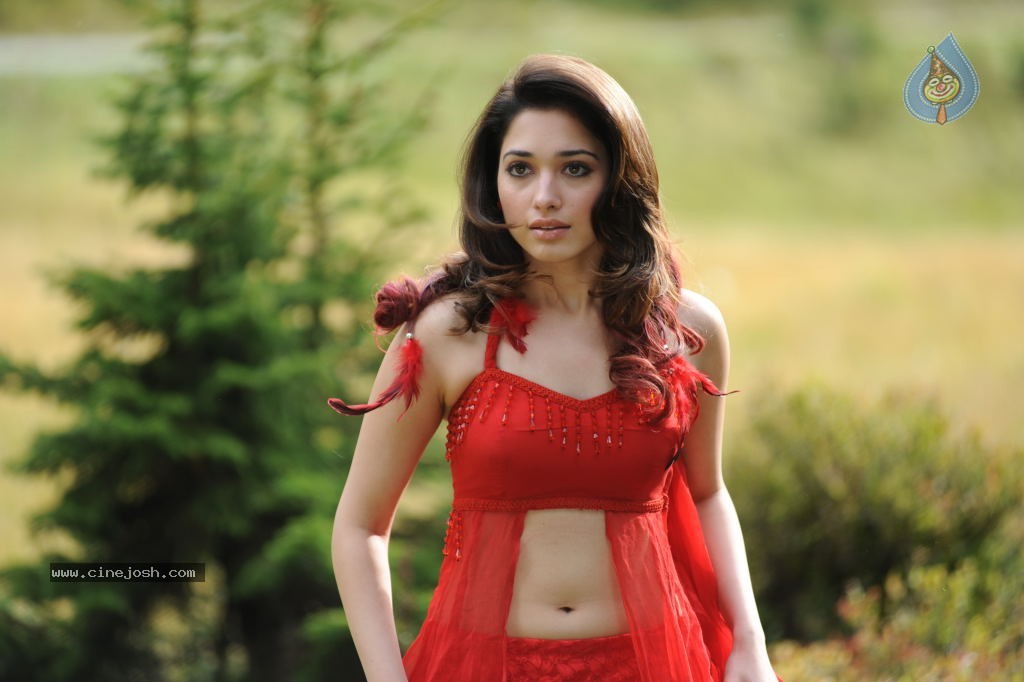 Tamanna Spicy Stills - 42 / 102 photos