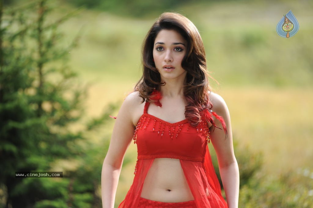 Tamanna Spicy Stills - 45 / 102 photos