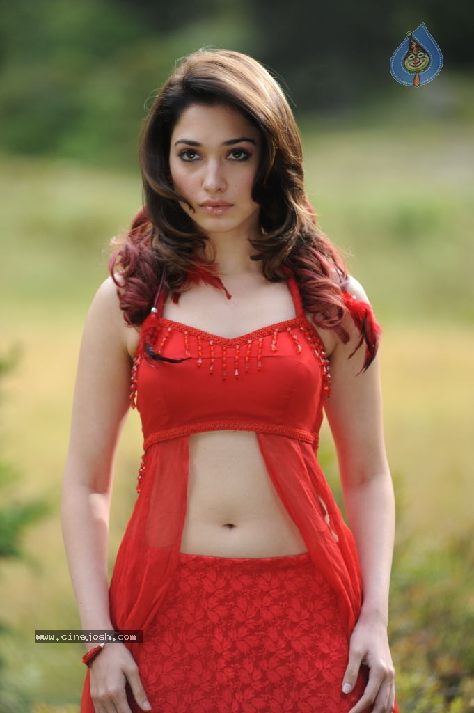 Tamanna Spicy Stills - 63 / 102 photos