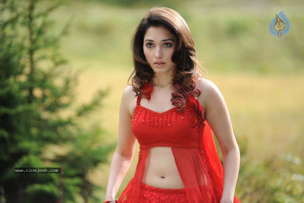 Tamanna Spicy Stills - 66 / 102 photos