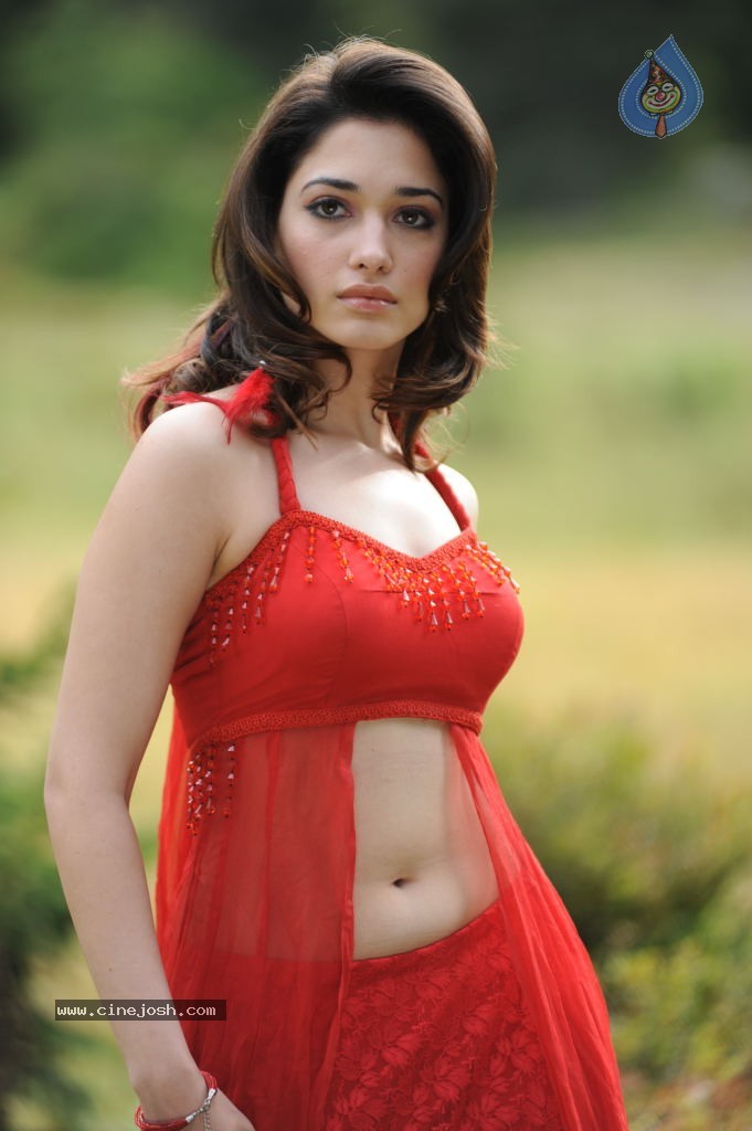 Tamanna Spicy Stills - 67 / 102 photos