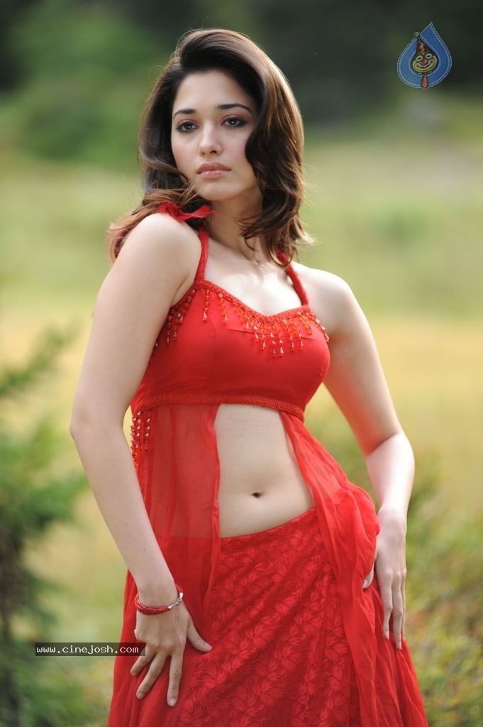 Tamanna Spicy Stills - 68 / 102 photos