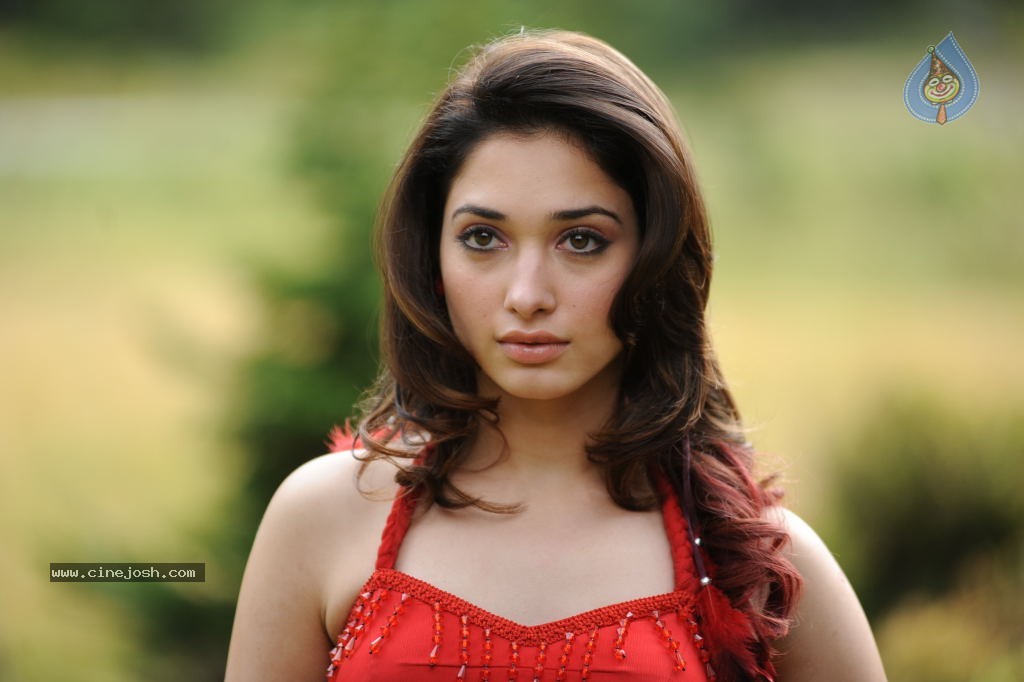 Tamanna Spicy Stills - 76 / 102 photos