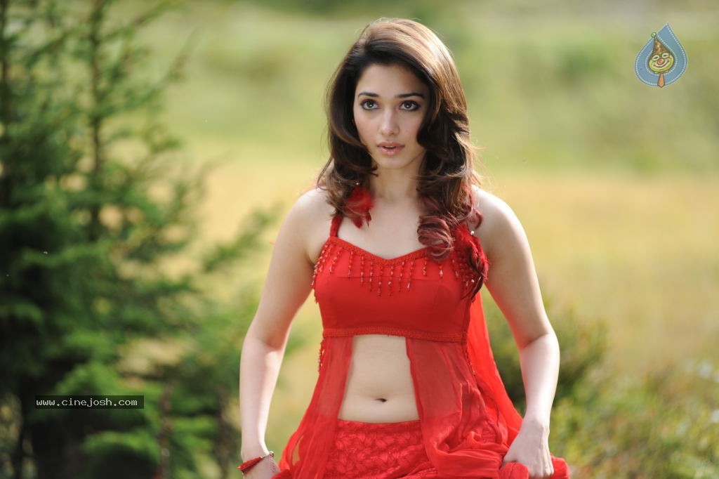 Tamanna Spicy Stills - 78 / 102 photos