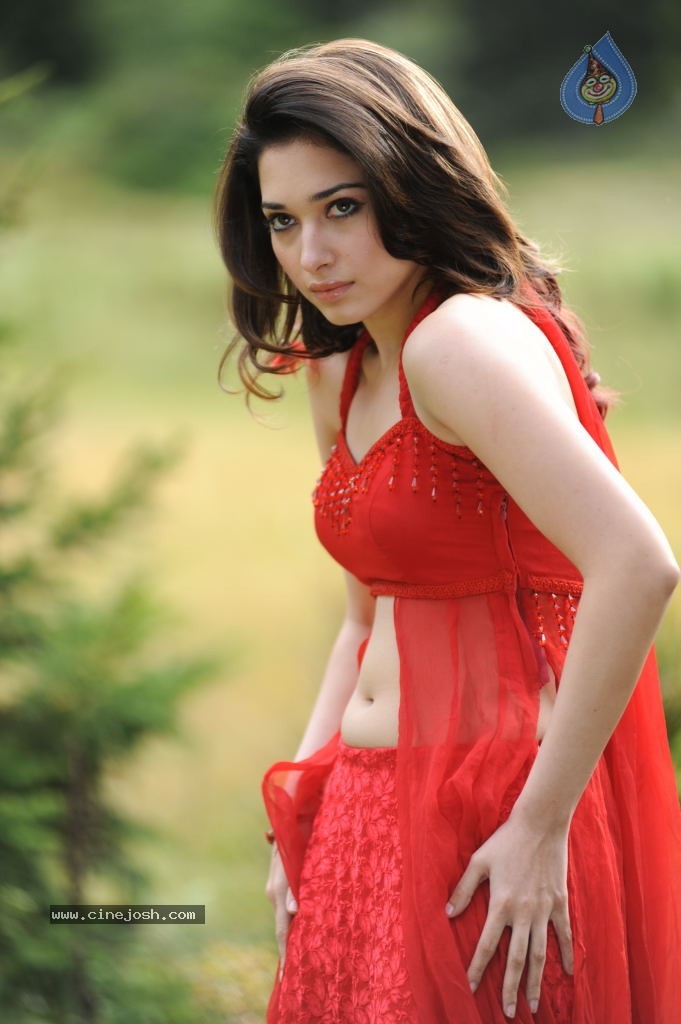 Tamanna Spicy Stills - 80 / 102 photos