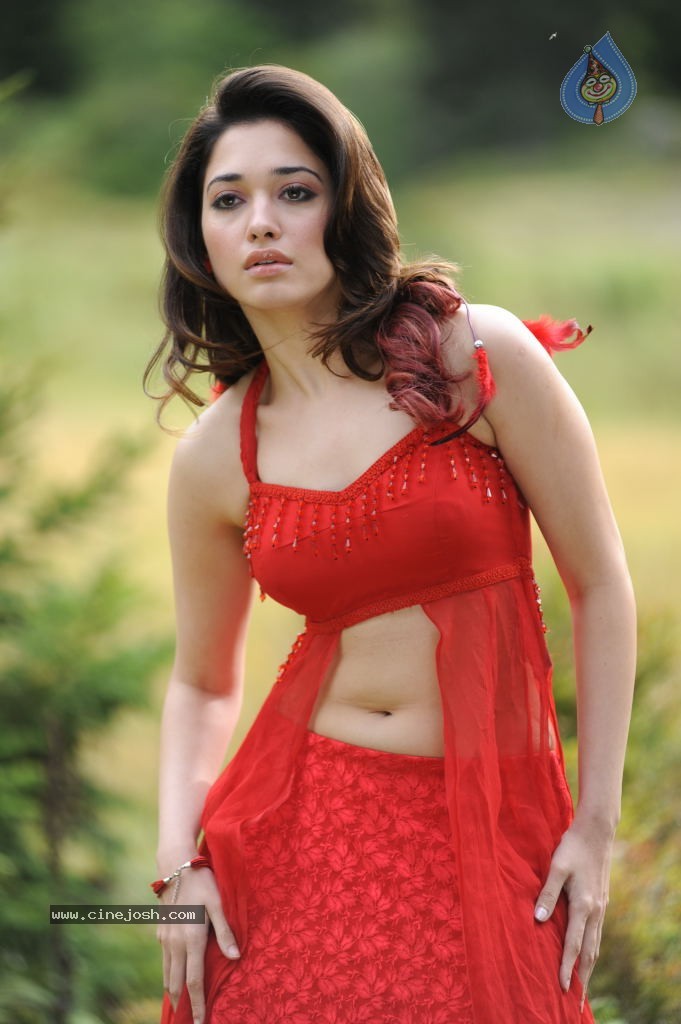 Tamanna Spicy Stills - 91 / 102 photos