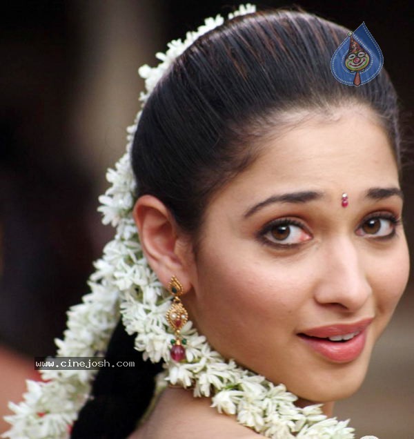 Tamanna Stills - 11 / 40 photos