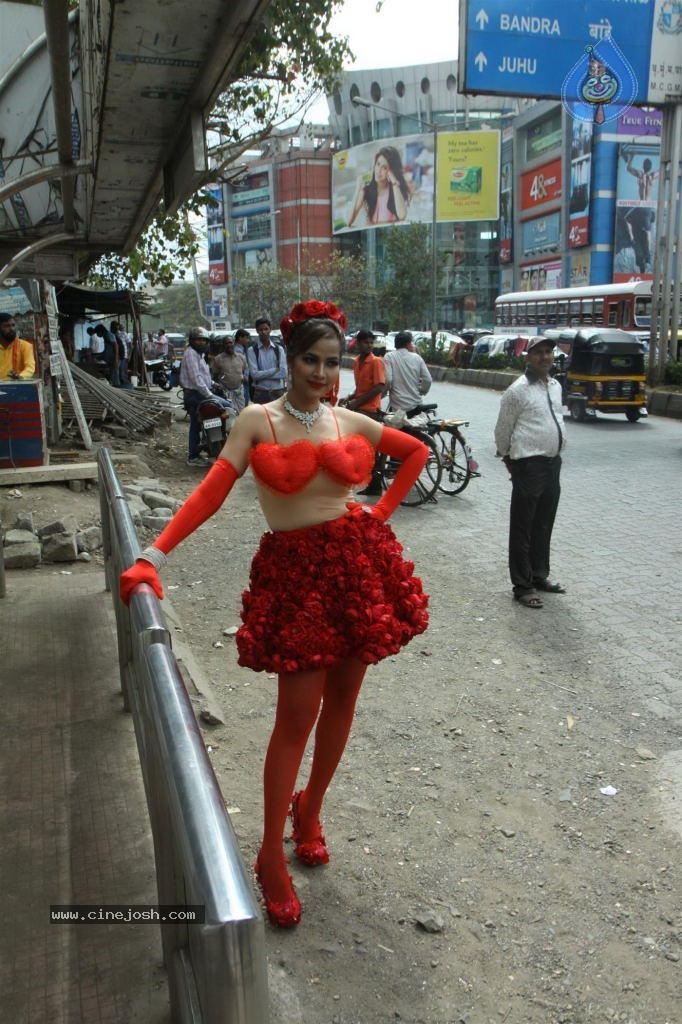 Tanisha Singh Special Photo Shoot - 4 / 28 photos