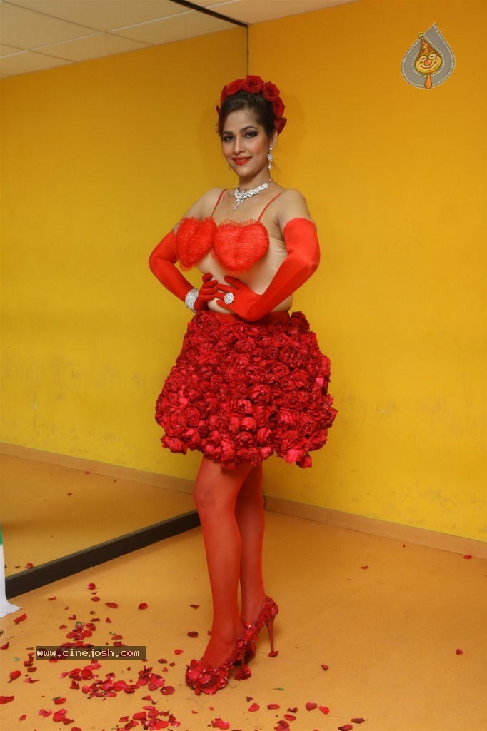 Tanisha Singh Special Photo Shoot - 12 / 28 photos