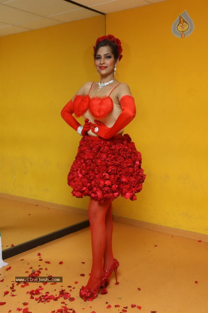 Tanisha Singh Special Photo Shoot - 14 / 28 photos