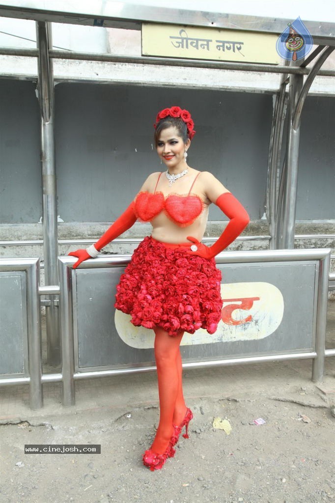 Tanisha Singh Special Photo Shoot - 18 / 28 photos