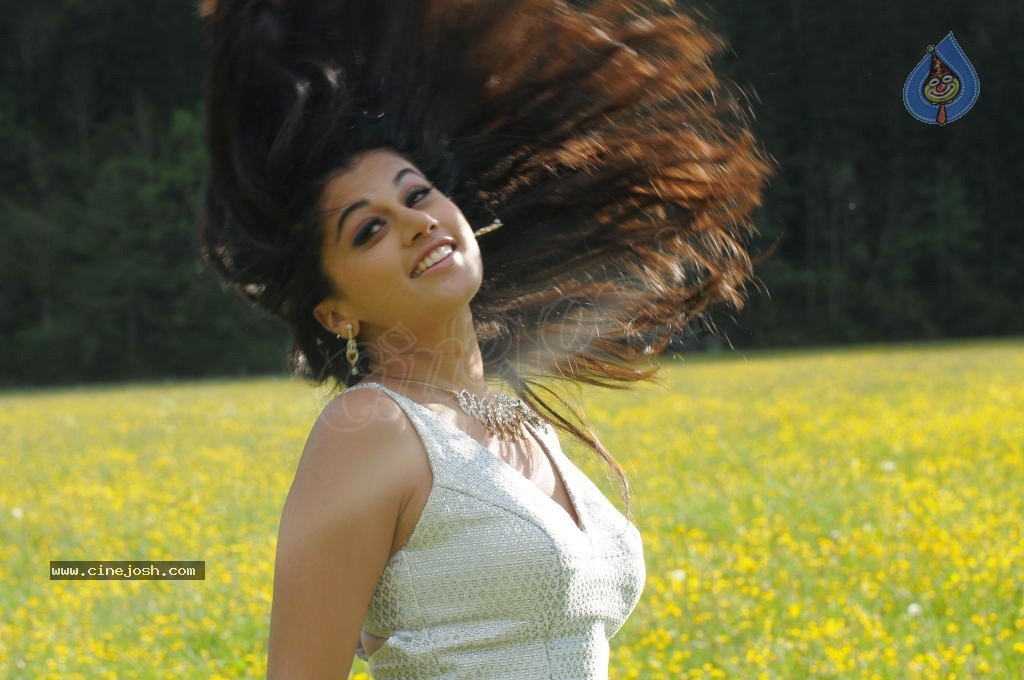 Tapsee High Resolution Stills - 34 / 43 photos
