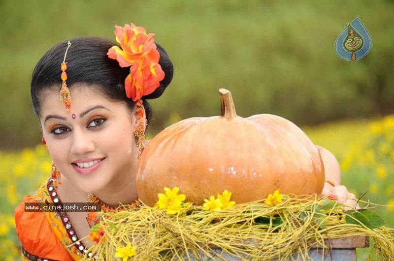 Tapsee Latest Stills - 7 / 40 photos