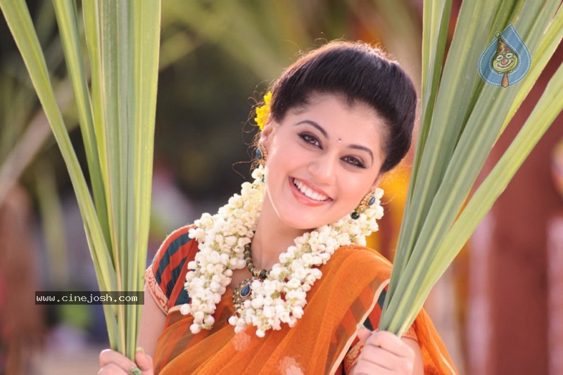 Tapsee Latest Stills - 9 / 40 photos