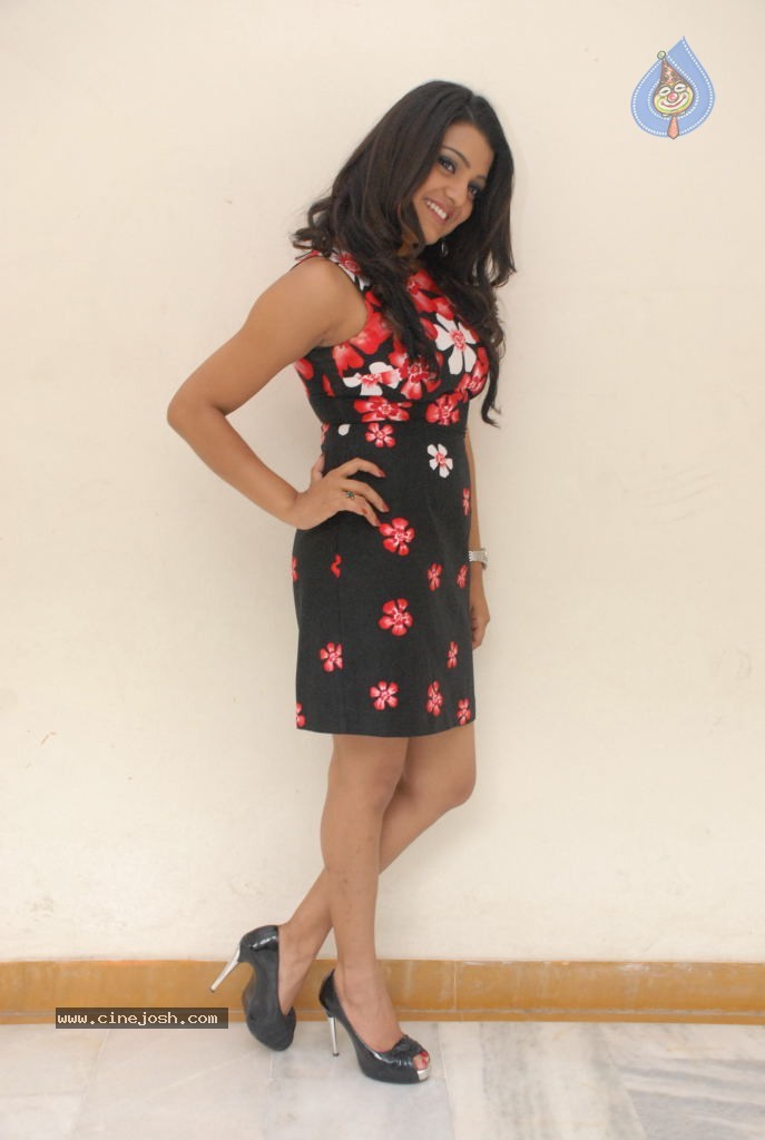 Tashu Kaushik Latest Photos - 64 / 65 photos