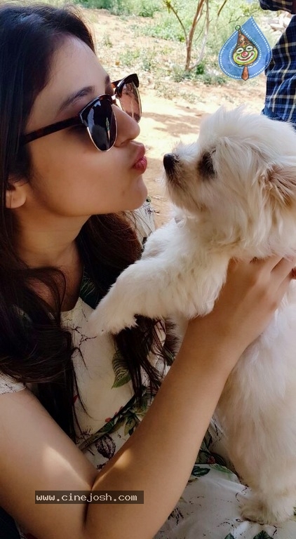 Taxiwala Fame Priyanka Jawalkar Cute Pics - 1 / 9 photos