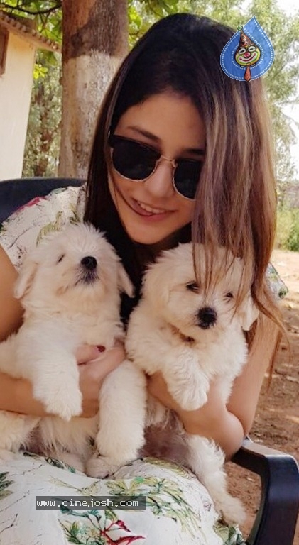 Taxiwala Fame Priyanka Jawalkar Cute Pics - 2 / 9 photos