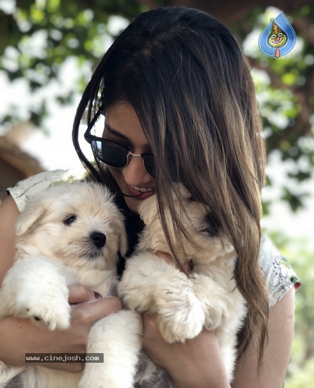 Taxiwala Fame Priyanka Jawalkar Cute Pics - 7 / 9 photos