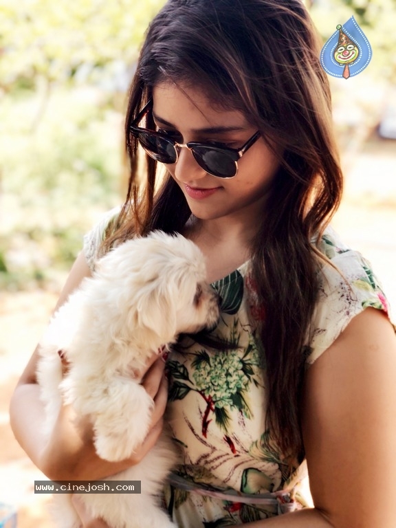 Taxiwala Fame Priyanka Jawalkar Cute Pics - 8 / 9 photos