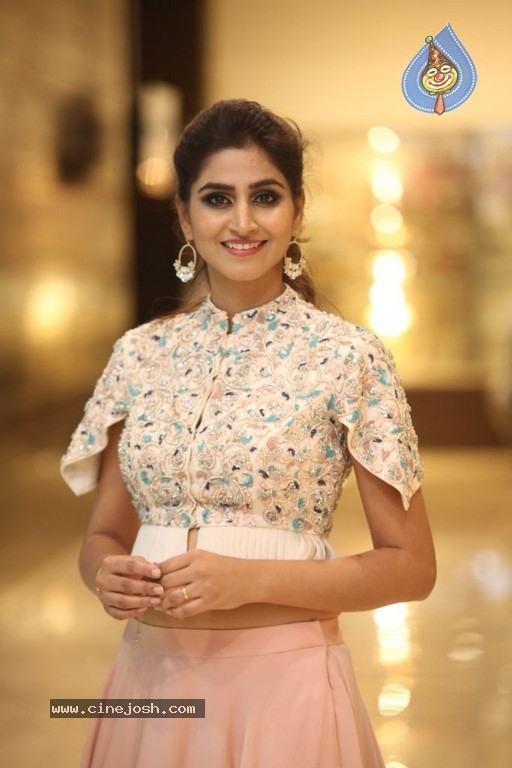 Varshini Sounderajan Photos - 14 / 19 photos