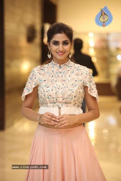 Varshini Sounderajan Photos - 16 / 19 photos